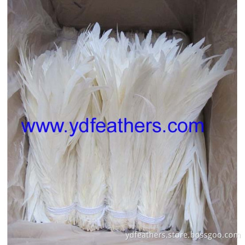 Best quality rooster/coque/cock tail for wholesale
